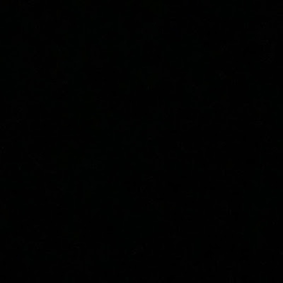 Meet your Posher, Lucy - Picture 1 of 1